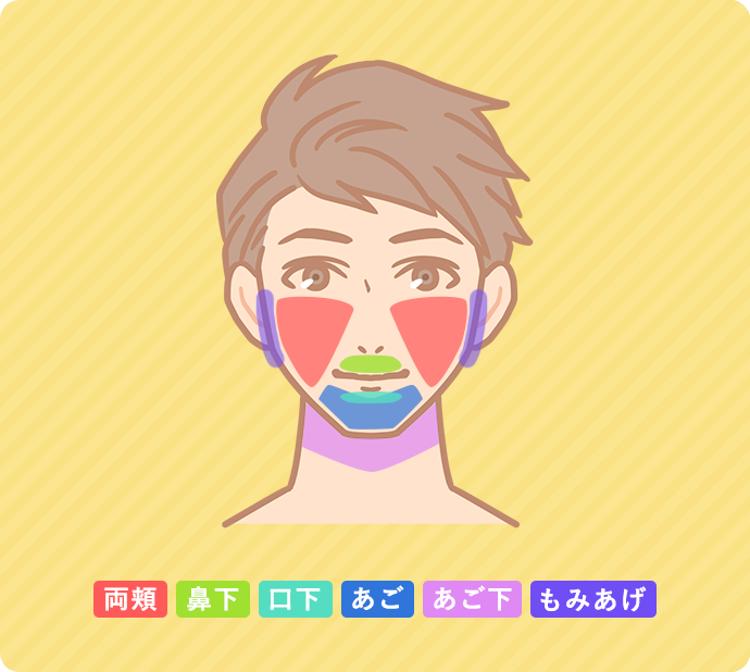 両頬、鼻下、口下、あご、あご下、もみあげ