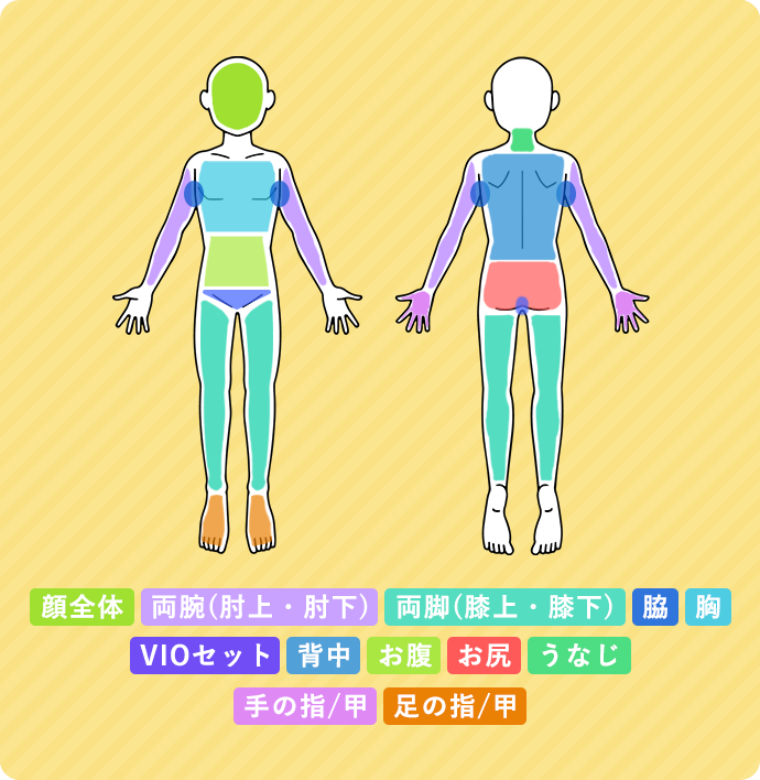 顔全体,両腕(肘上・肘下),両脚(膝上・膝下),脇,胸,VIOセット,背中,お腹,お尻,うなじ,手の指/甲,足の指/甲