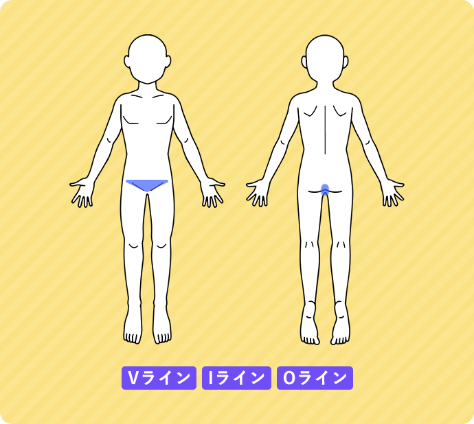 Vライン、Iライン、Oライン